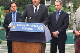 WCS Statement on New York City Microbeads Ban Legislation